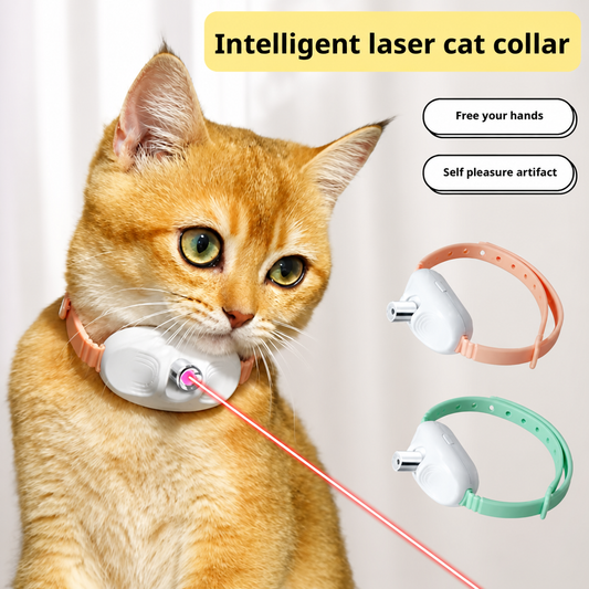 Cat Laizer